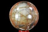 Colorful Petrified Wood Sphere - Madagascar #82744-1